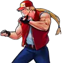 Fatal Fury icon