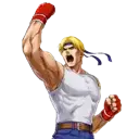 Streets of Rage icon